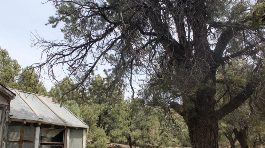 Preacher's Cabin — local town and services near the claim, Esmeralda County, Nevada