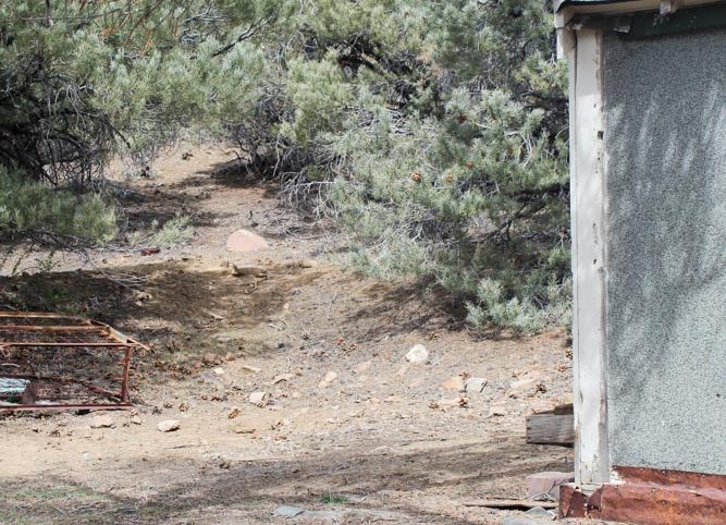 Preacher's Cabin — local town and services near the claim, Esmeralda County, Nevada