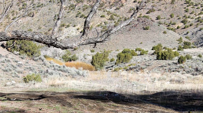 Quantum Solice — photograph 8 of the claim ground, Esmeralda County, Nevada