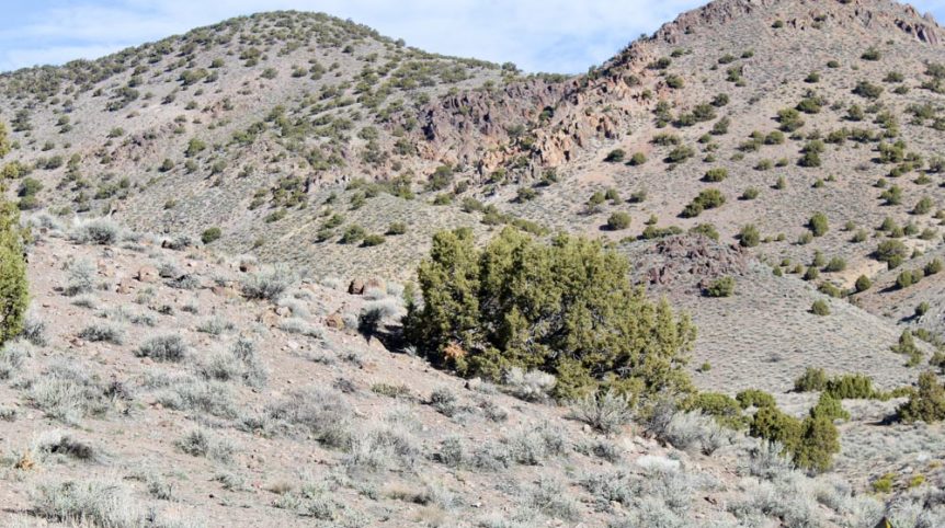 Quantum Solice — photograph 9 of the claim ground, Esmeralda County, Nevada