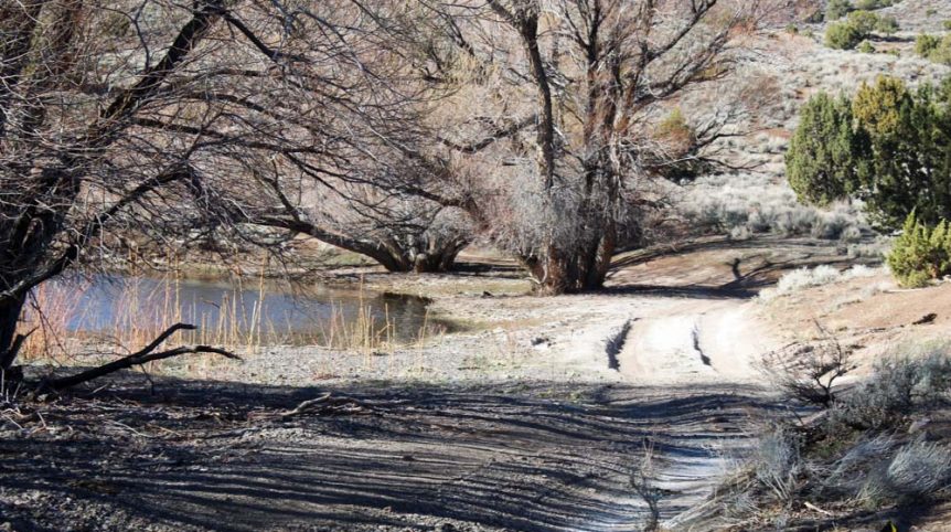 Quantum Solice — photograph 10 of the claim ground, Esmeralda County, Nevada
