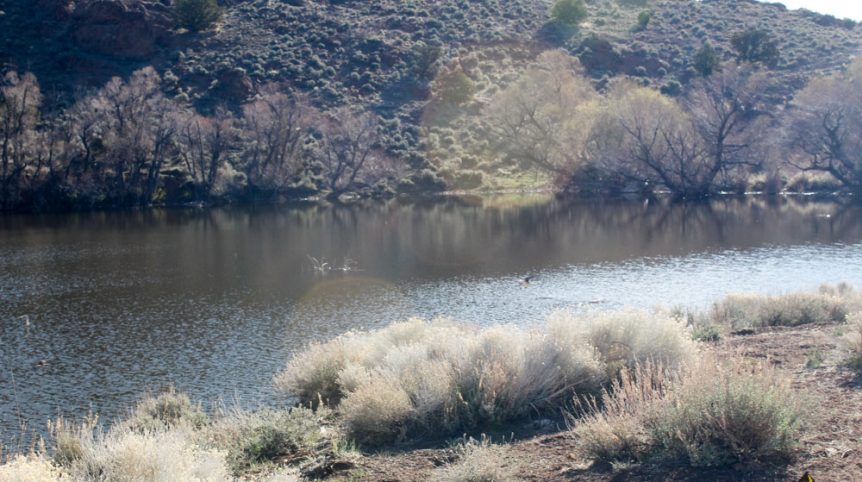 Quantum Solice — photograph 14 of the claim ground, Esmeralda County, Nevada