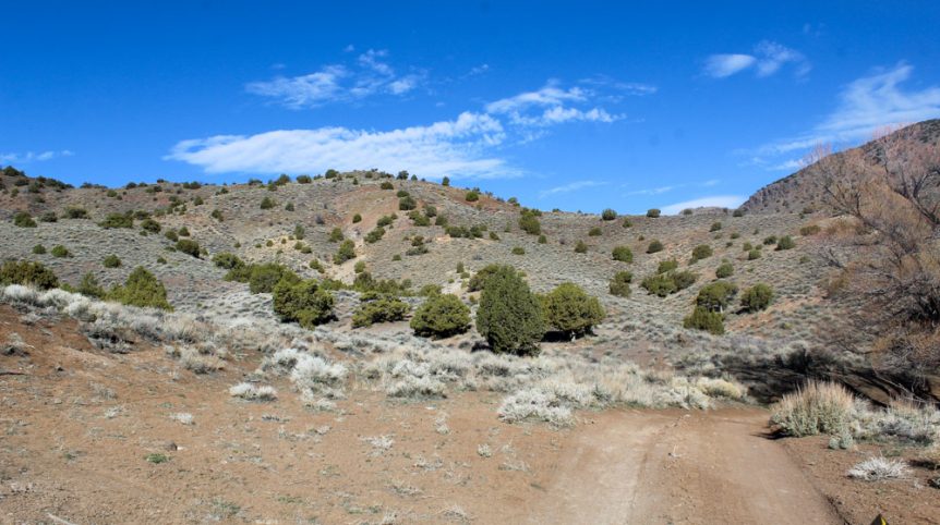 Quantum Solice — photograph 15 of the claim ground, Esmeralda County, Nevada