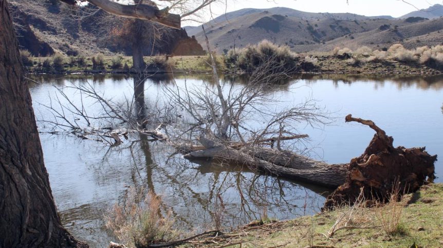 Quantum Solice — photograph 16 of the claim ground, Esmeralda County, Nevada