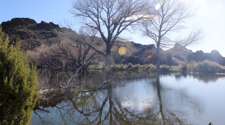 Quantum Solice — photograph 17 of the claim ground, Esmeralda County, Nevada