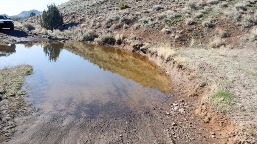 Quantum Solice — photograph 19 of the claim ground, Esmeralda County, Nevada