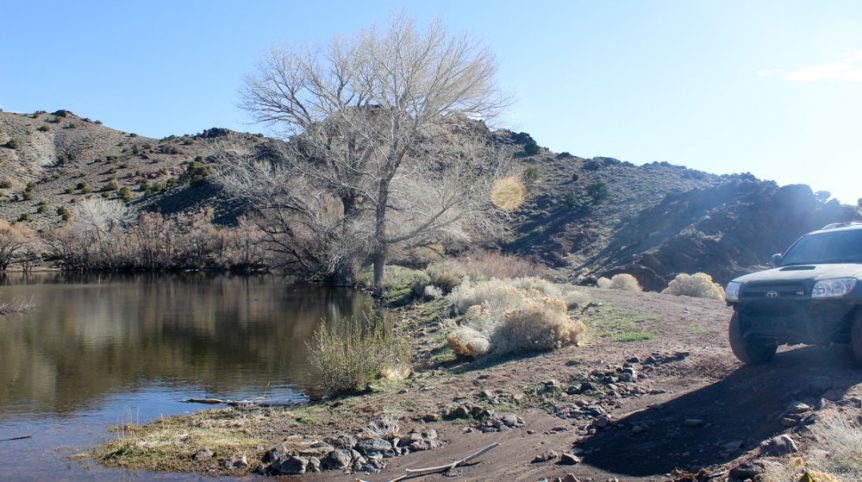 Quantum Solice — photograph 20 of the claim ground, Esmeralda County, Nevada