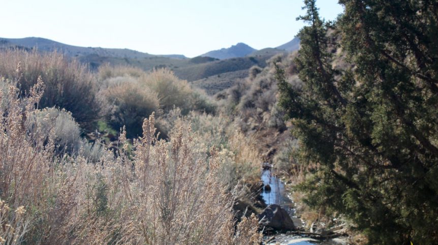 Quantum Solice — photograph 21 of the claim ground, Esmeralda County, Nevada