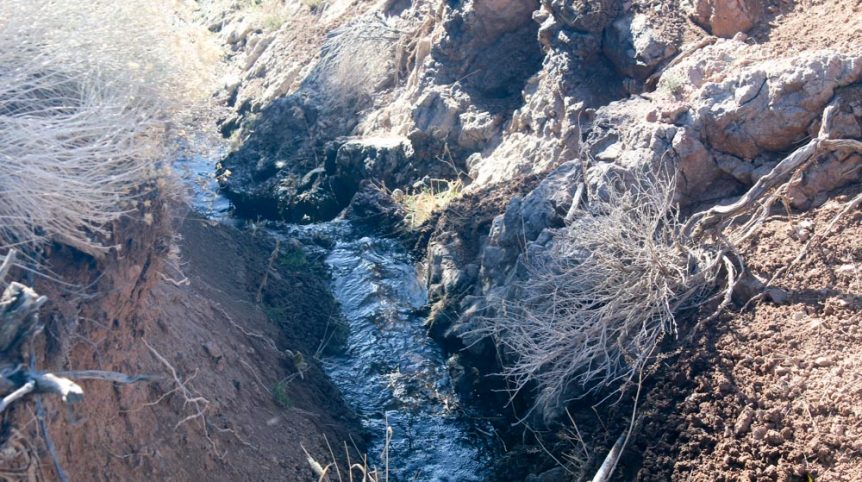 Quantum Solice — photograph 22 of the claim ground, Esmeralda County, Nevada