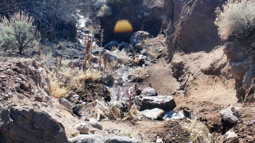 Quantum Solice — photograph 29 of the claim ground, Esmeralda County, Nevada