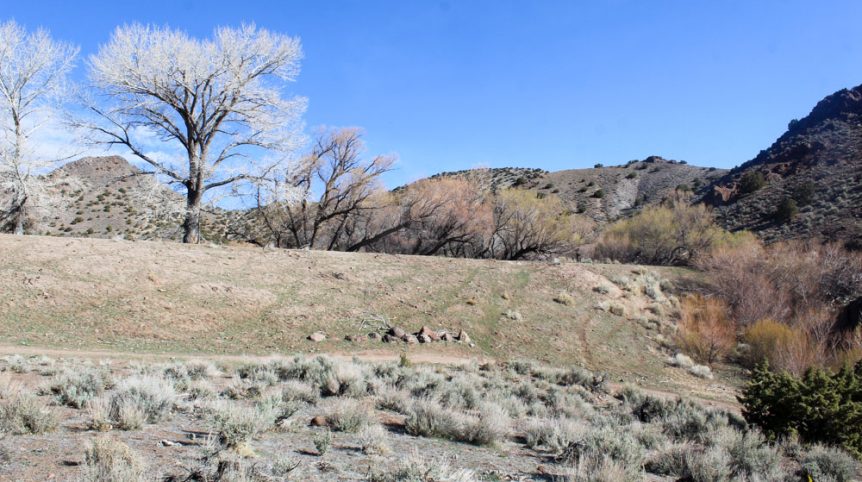 Quantum Solice — photograph 45 of the claim ground, Esmeralda County, Nevada