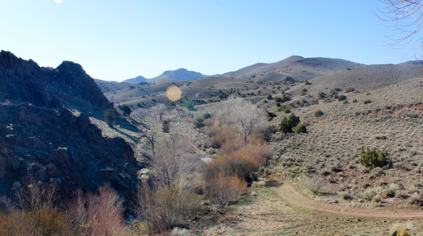 Quantum Solice — photograph 47 of the claim ground, Esmeralda County, Nevada