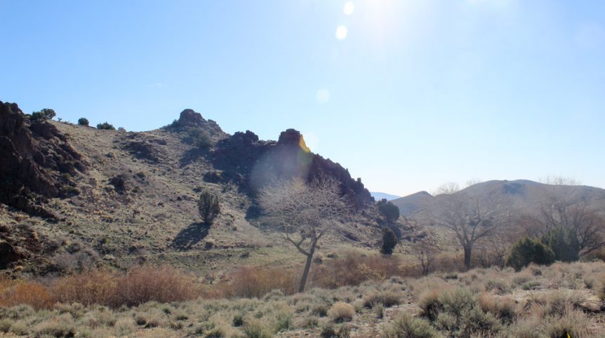 Quantum Solice — photograph 48 of the claim ground, Esmeralda County, Nevada