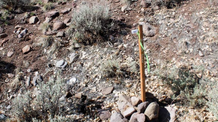 Quantum Solice — photograph 50 of the claim ground, Esmeralda County, Nevada