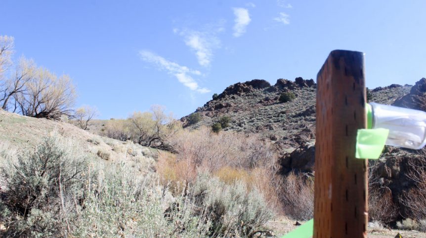 Quantum Solice — photograph 51 of the claim ground, Esmeralda County, Nevada