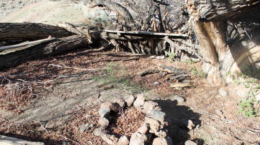 Quantum Solice — photograph 57 of the claim ground, Esmeralda County, Nevada