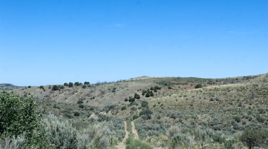 Delano District #2 — photograph 28 of the claim ground, Pershing County, Nevada