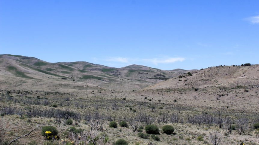 Delano District #2 — photograph 30 of the claim ground, Pershing County, Nevada