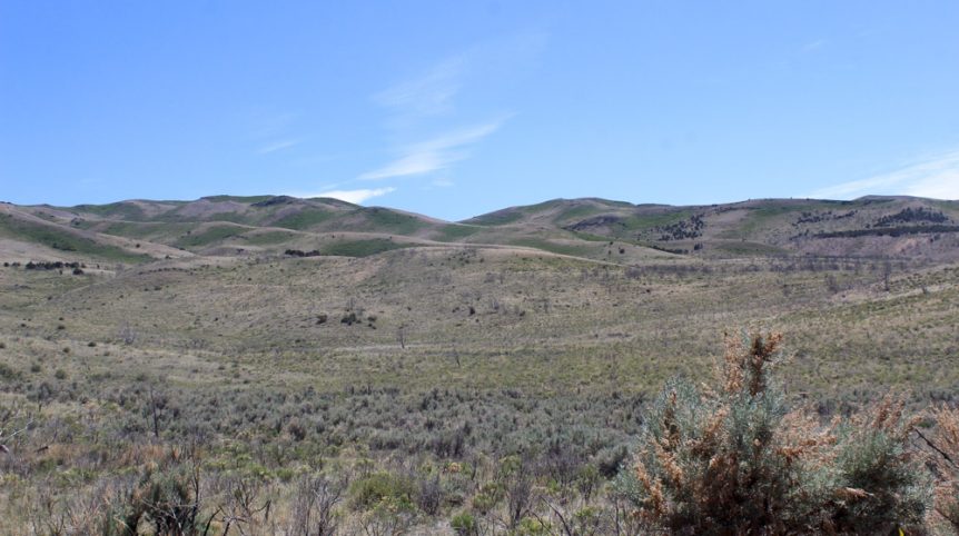 Delano District #2 — photograph 60 of the claim ground, Pershing County, Nevada