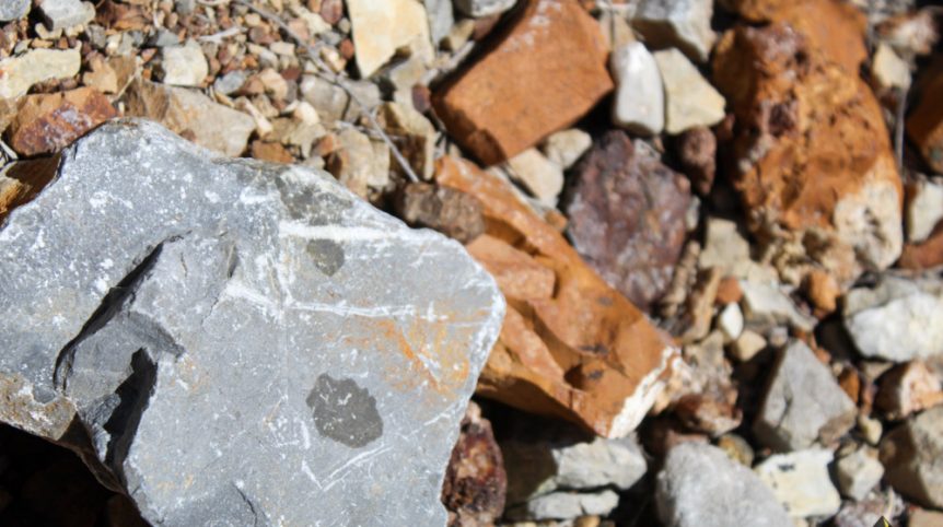 Delano District #2 — photograph 83 of the claim ground, Pershing County, Nevada