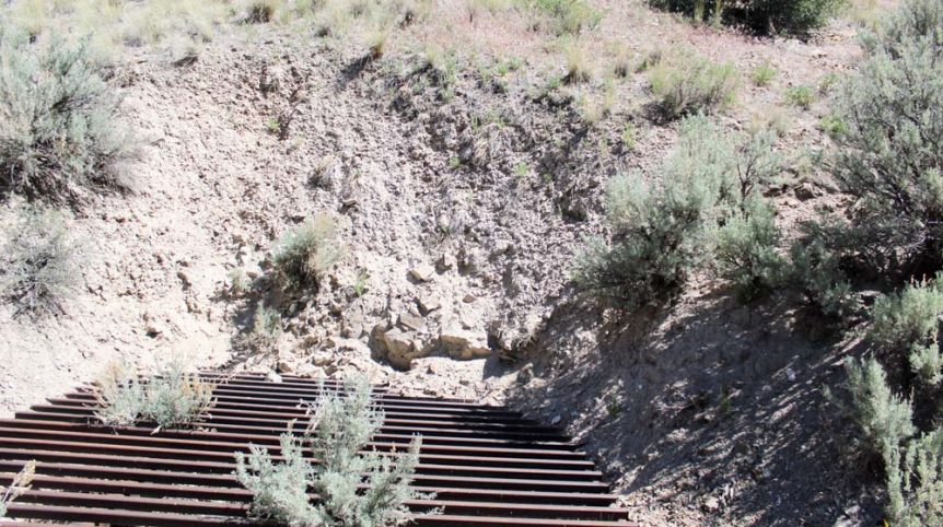 Delano District #2 — photograph 101 of the claim ground, Pershing County, Nevada