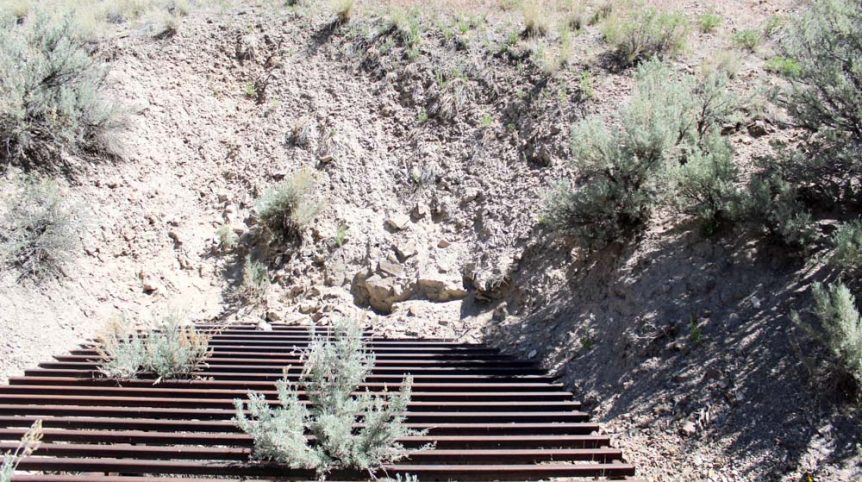 Delano District #2 — photograph 102 of the claim ground, Pershing County, Nevada
