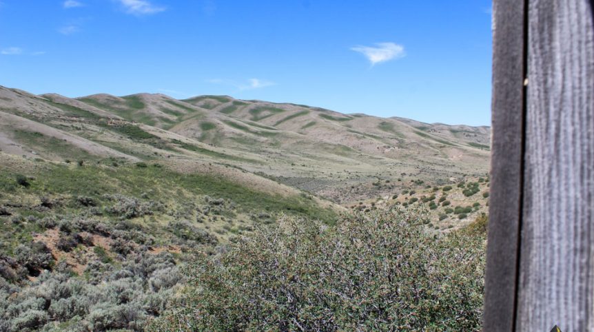 Delano District #2 — photograph 134 of the claim ground, Pershing County, Nevada