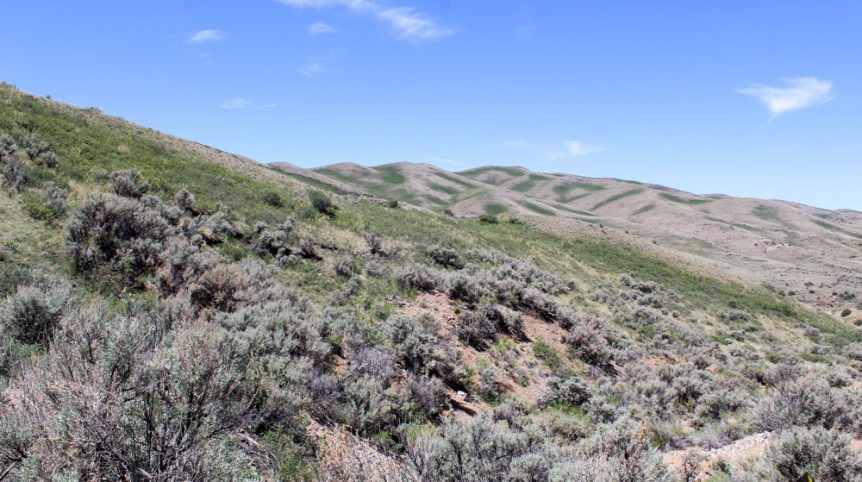 Delano District #2 — photograph 136 of the claim ground, Pershing County, Nevada