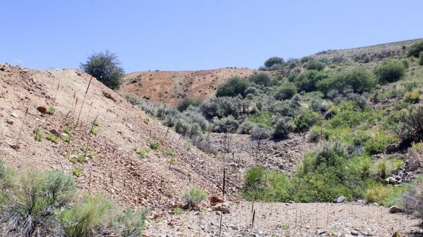 Delano District #2 — photograph 137 of the claim ground, Pershing County, Nevada