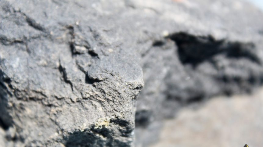 Delano District #2 — ore and gold sample from the claim, Pershing County, Nevada