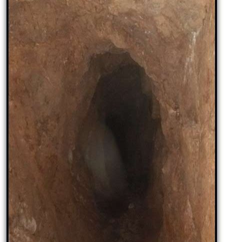 Surprise Gold Mine