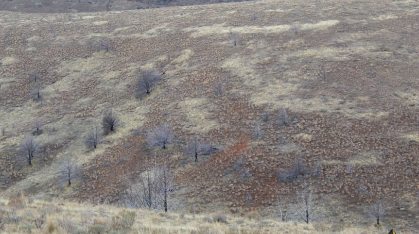 GR6 — photograph 2 of the claim ground, Humboldt County, Nevada