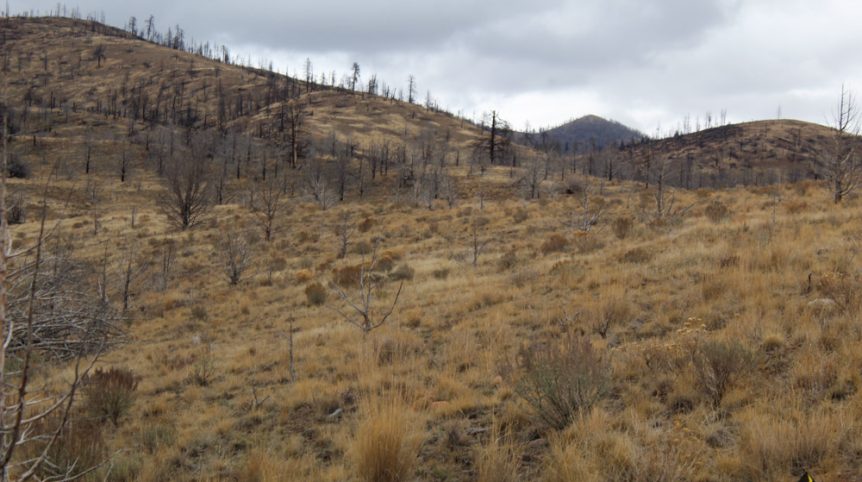 GR6 — photograph 6 of the claim ground, Humboldt County, Nevada