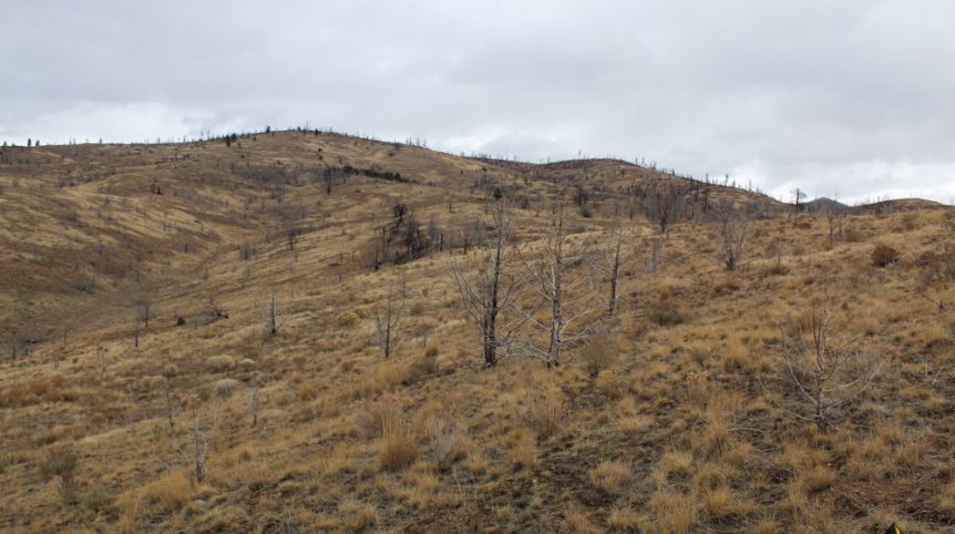 GR6 — photograph 7 of the claim ground, Humboldt County, Nevada
