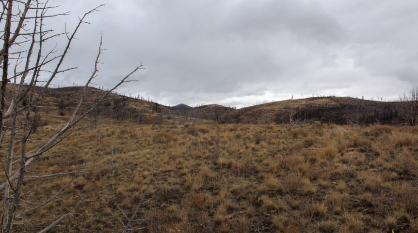 GR6 — photograph 8 of the claim ground, Humboldt County, Nevada