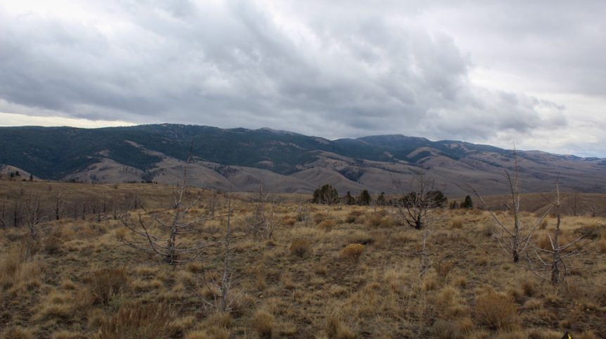 GR6 — photograph 9 of the claim ground, Humboldt County, Nevada