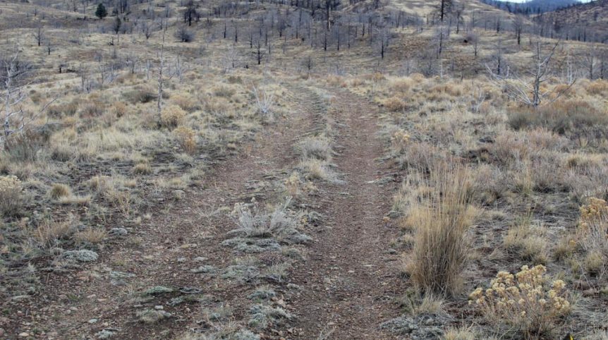 GR6 — photograph 10 of the claim ground, Humboldt County, Nevada