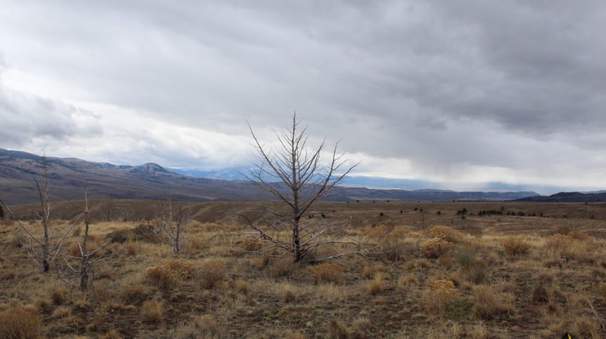 GR6 — photograph 20 of the claim ground, Humboldt County, Nevada
