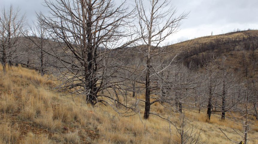 GR6 — photograph 24 of the claim ground, Humboldt County, Nevada