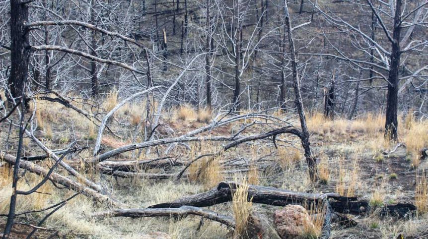 GR6 — photograph 26 of the claim ground, Humboldt County, Nevada
