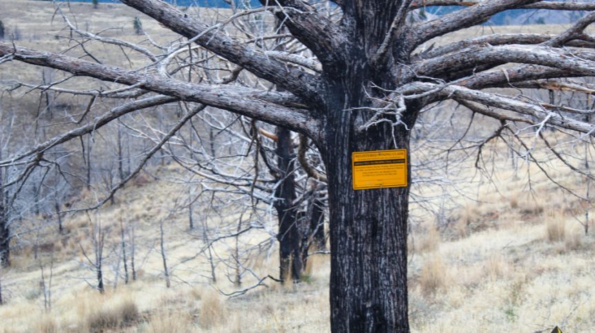 GR6 — photograph 29 of the claim ground, Humboldt County, Nevada