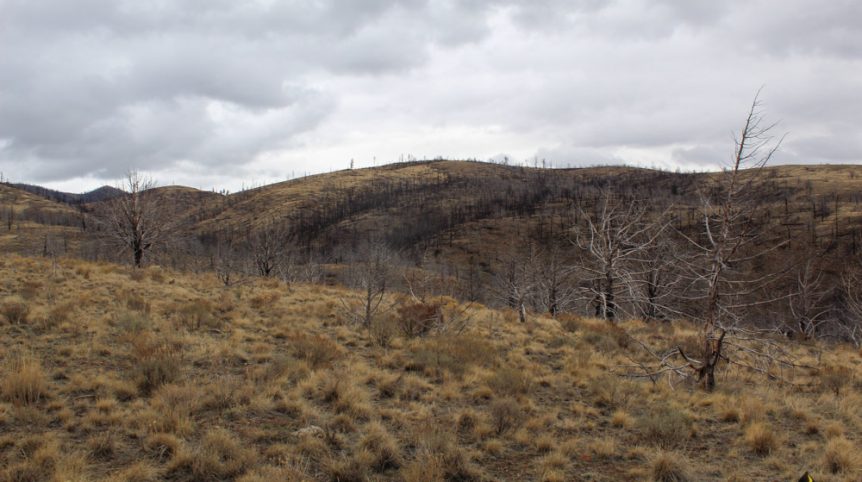 GR6 — photograph 30 of the claim ground, Humboldt County, Nevada