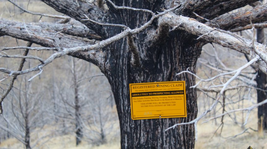 GR6 — photograph 31 of the claim ground, Humboldt County, Nevada