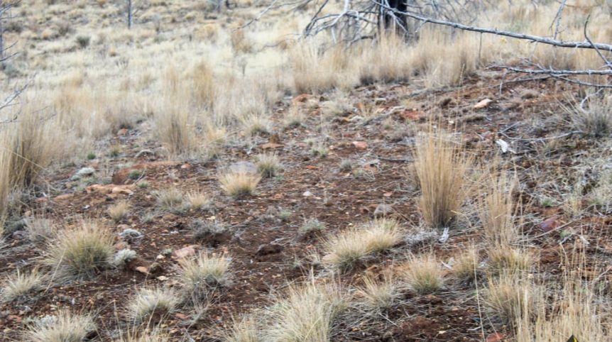 GR6 — photograph 33 of the claim ground, Humboldt County, Nevada