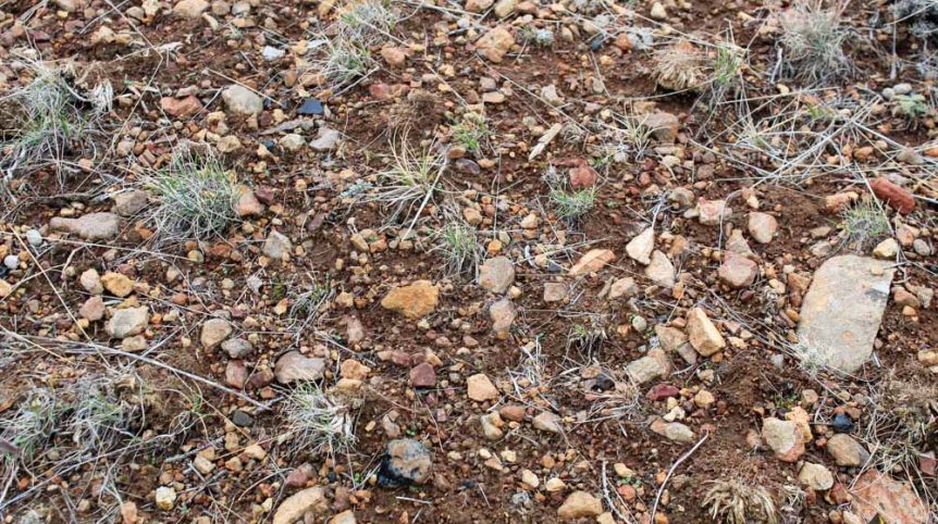 GR6 — photograph 35 of the claim ground, Humboldt County, Nevada