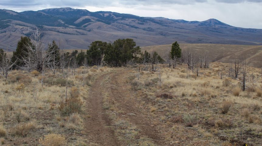 GR6 — photograph 37 of the claim ground, Humboldt County, Nevada