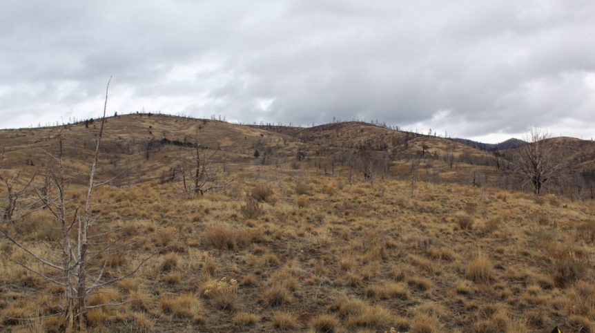 GR6 — photograph 40 of the claim ground, Humboldt County, Nevada