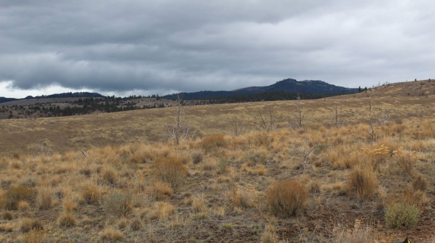 GR6 — photograph 41 of the claim ground, Humboldt County, Nevada