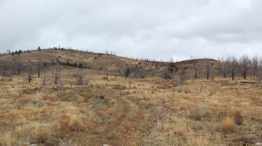 GR6 — photograph 44 of the claim ground, Humboldt County, Nevada