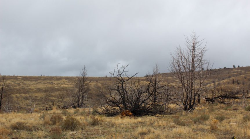 GR6 — photograph 45 of the claim ground, Humboldt County, Nevada